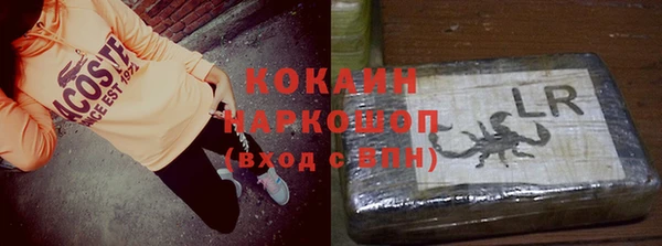 индика Баксан