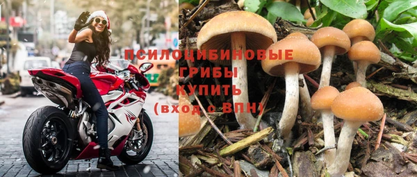 трава Балахна
