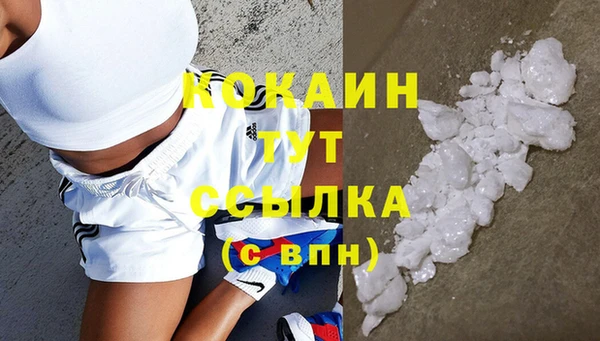 индика Баксан