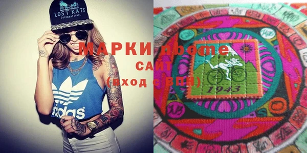 индика Баксан