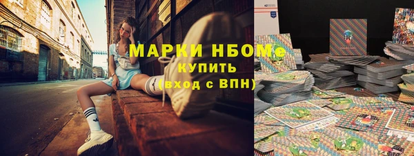 индика Баксан