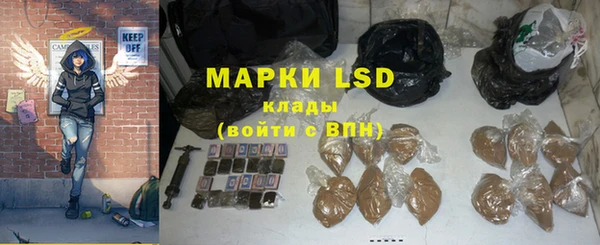 индика Баксан