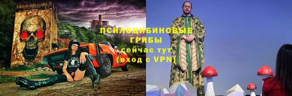 индика Баксан