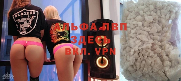 индика Баксан