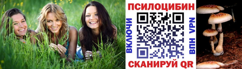 Псилоцибиновые грибы Magic Shrooms  наркотики  Тюкалинск 